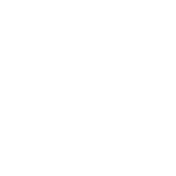 دليل black bunny